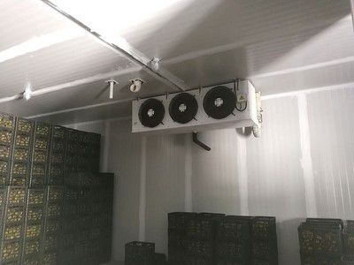 Ruangan Pendingin dengan Kontrol Atmosfer