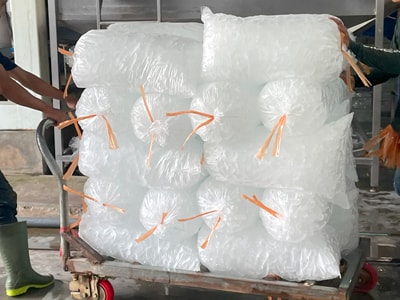 Pabrik Es Tube 90 Ton dengan Sistem Pendingin Ammonia di Indonesia