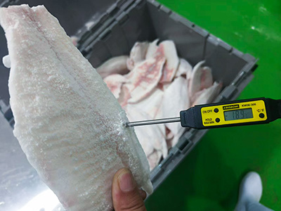 Terowongan Pembeku untuk Fillet Ikan di Indonesia