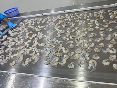 Terowongan Pembeku Cepat untuk Udang Beku di Thailand