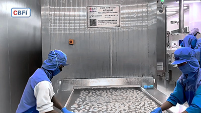 Terowongan Pembeku Cepat untuk Udang Beku di Thailand